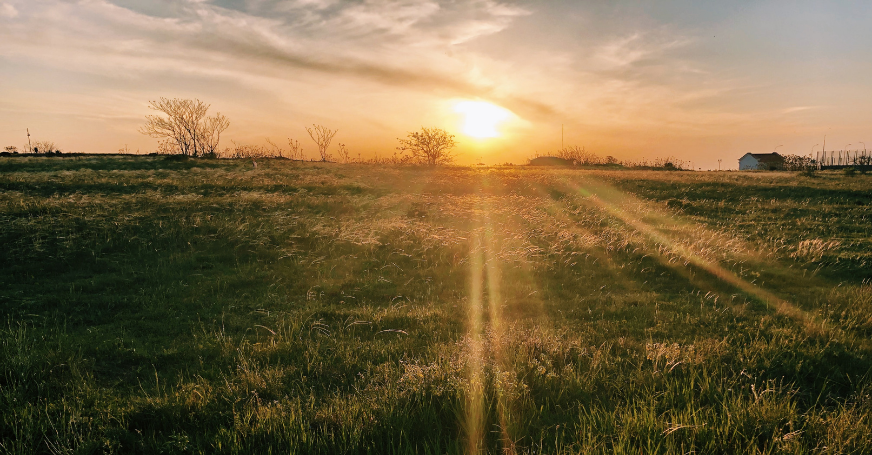 Sonne sorgt dafür, dass im Körper Vitamin D gebildet wird.